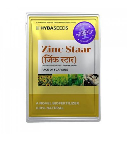 Zinc Staar (Zinc Solubilizing Bacteria) - 1 Capsule
